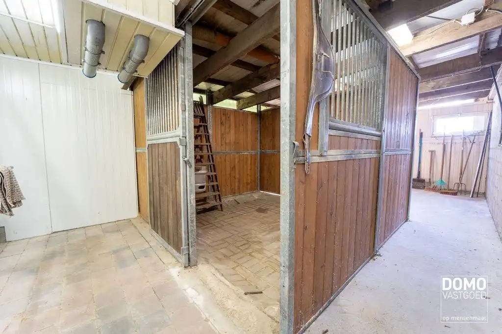 Ruime villa met paardenaccommodatie en wedstrijdstal gelegen te Herk-de-Stad - EPC-label: B - Bewoonbare vloeroppervlakte: 296m² foto 29