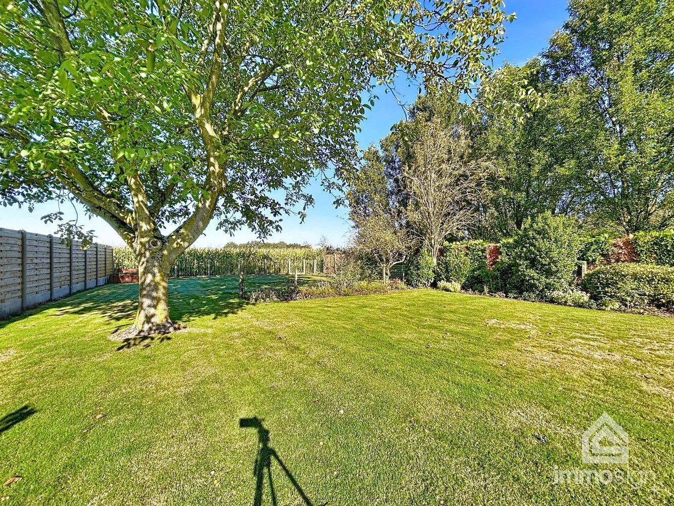 Charmante en ruime gezinswoning te Hamont met 3 slaapkamers op perceel van 11a07ca! foto 29