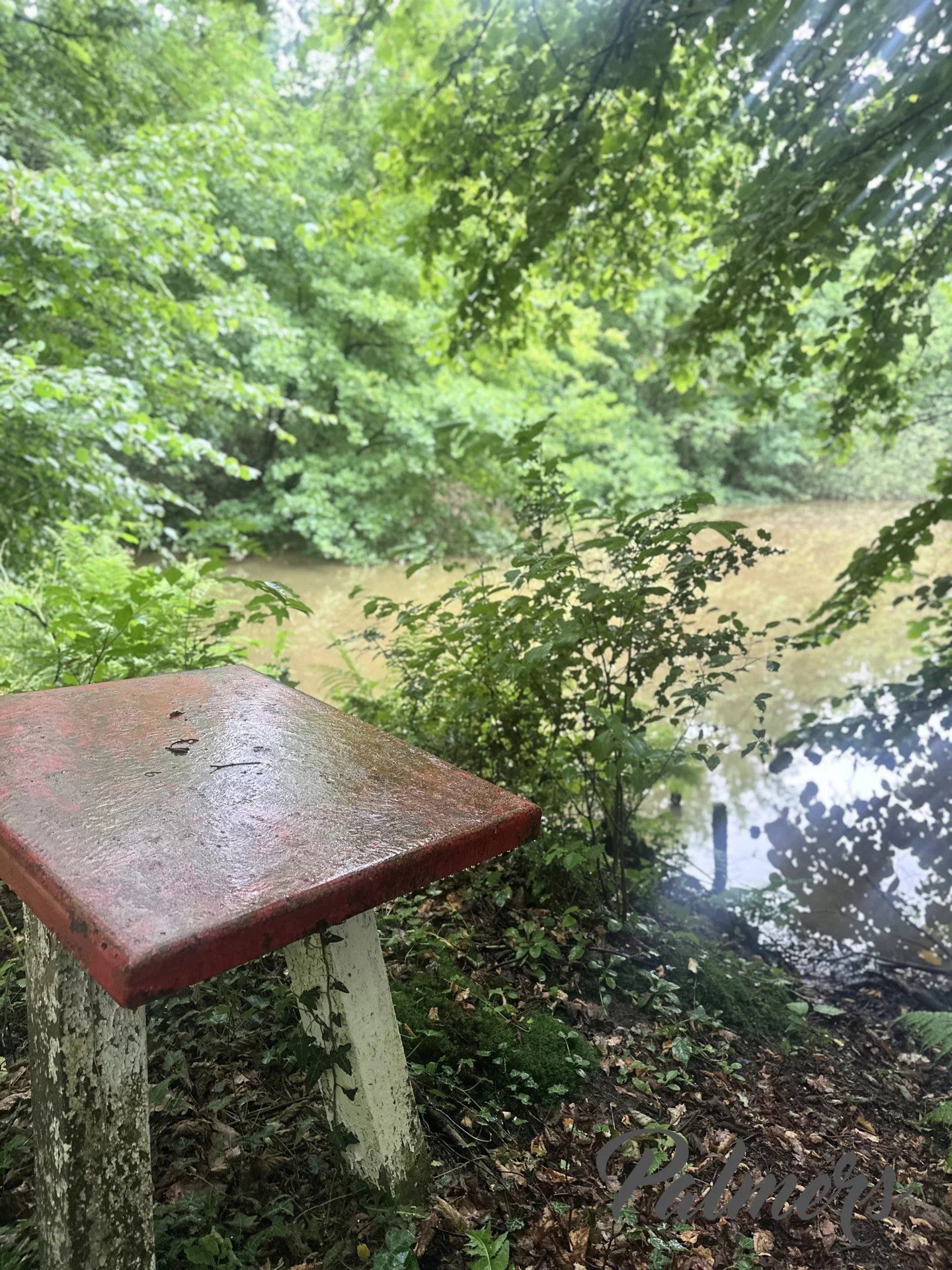 Comfort, ruimte èn ligging: instapklaar wonen in het groen. foto 2