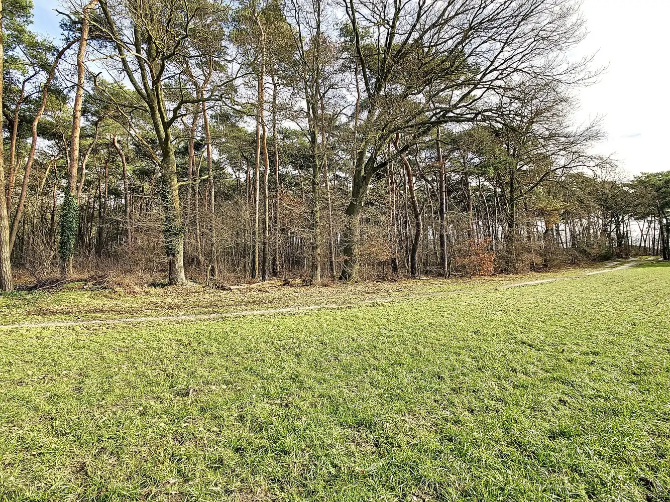 Perceel van 16.501m² aan de Kreyelerheide (bos in landschappelijk waardevol agrarisch gebied) foto 5