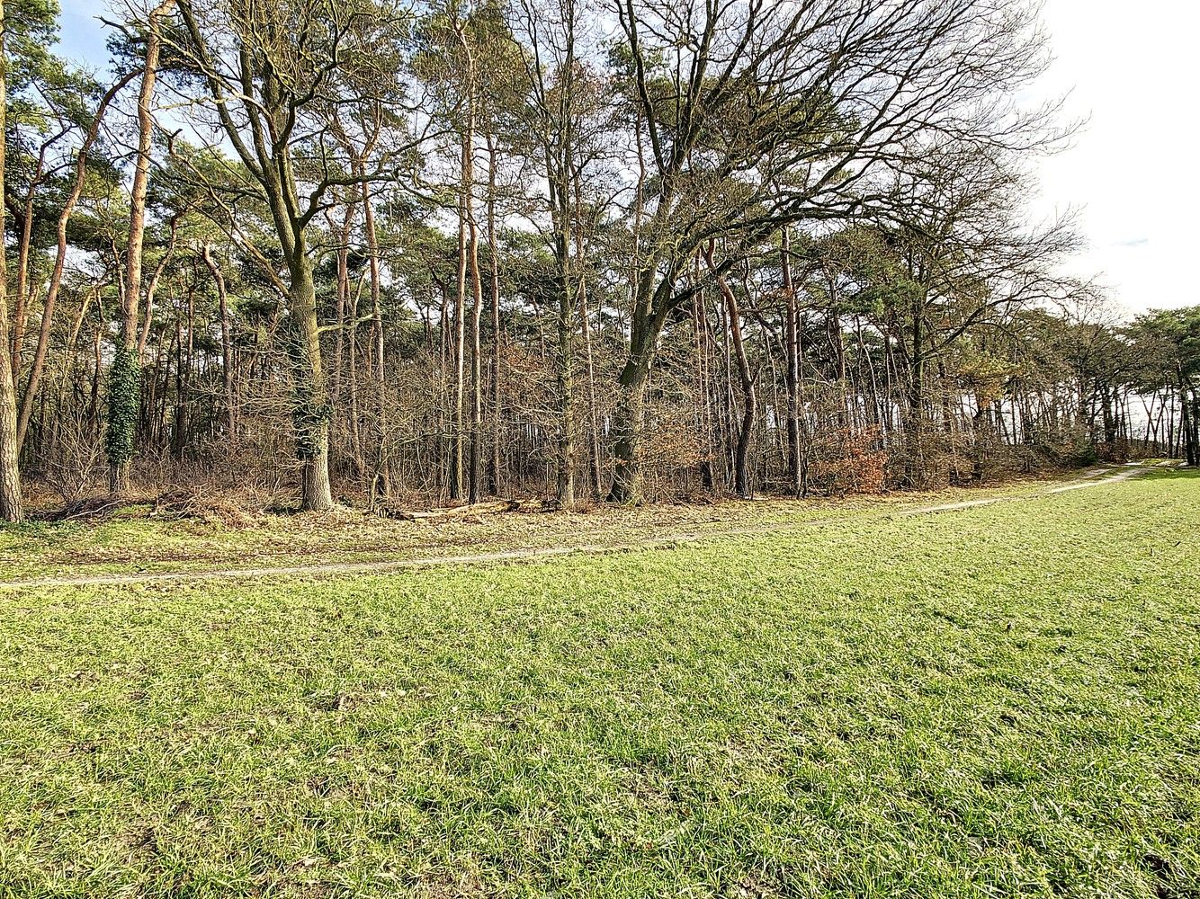 Perceel van 16.501m² aan de Kreyelerheide (bos in landschappelijk waardevol agrarisch gebied) foto 5