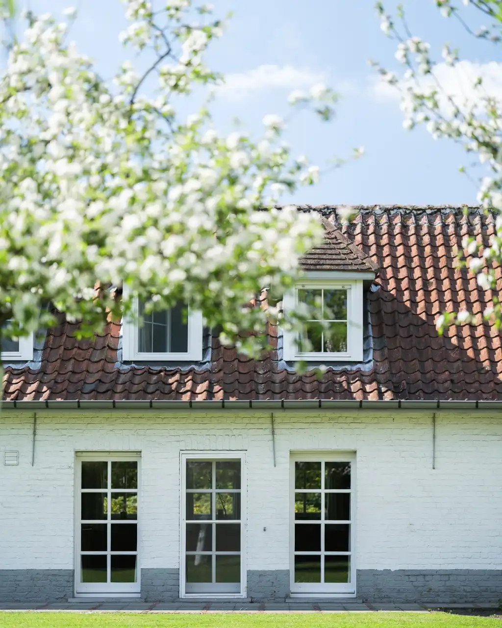 Karaktervol landhuis met zwembad en poolhouse op ca. 4.090 m², nabij het kasteel van Laarne foto 5