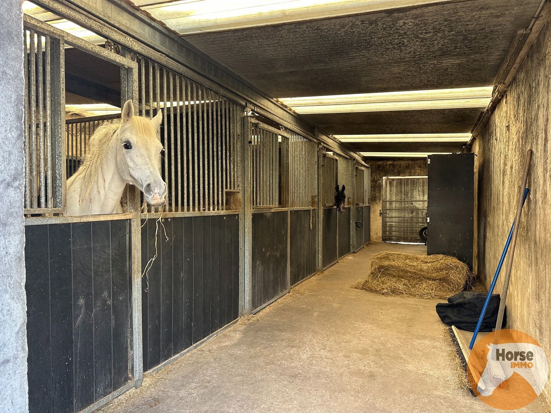 KAMPENHOUT - Professionele paardenaccommodatie op 4ha28 foto 11