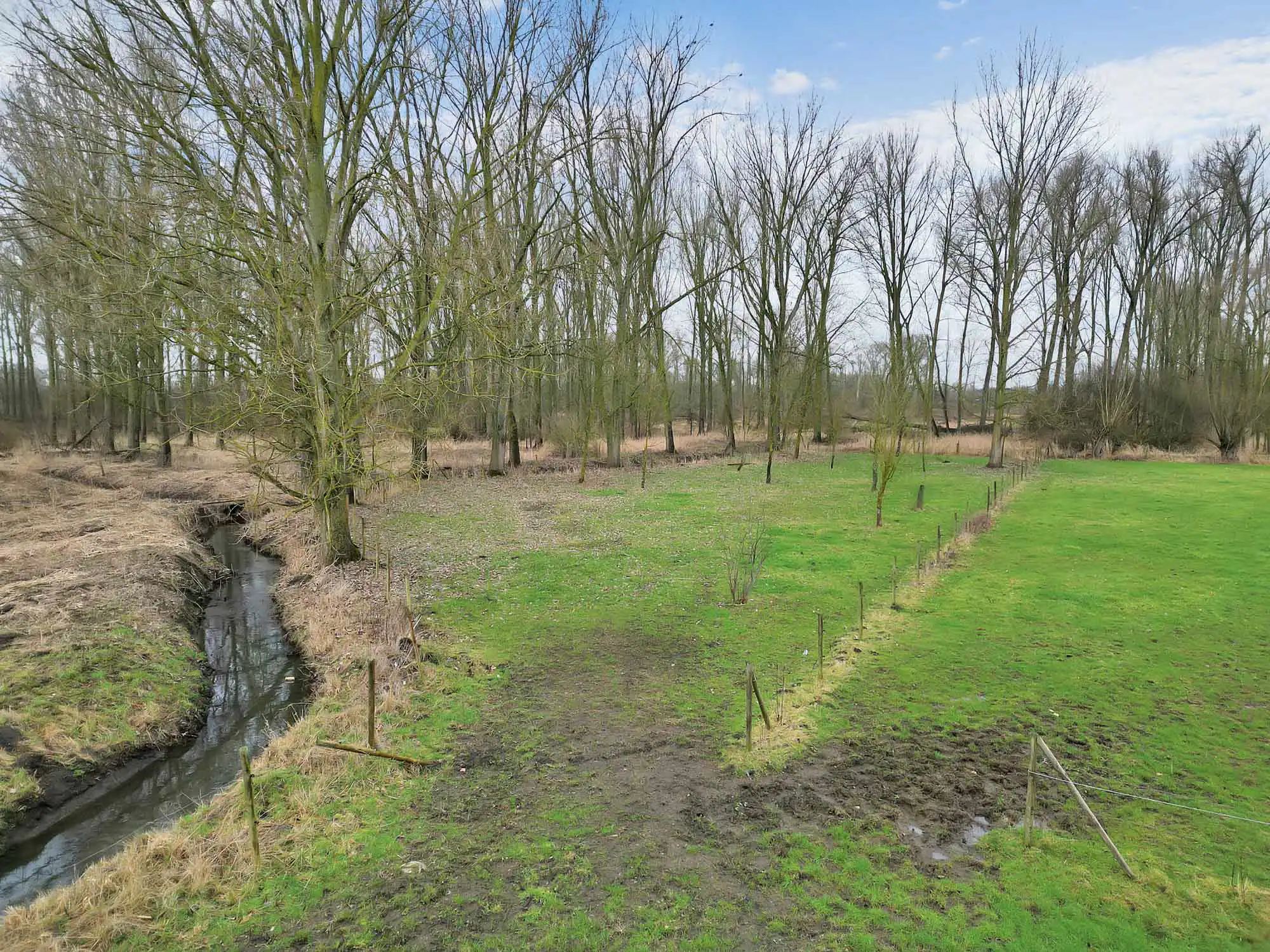 Weide met topligging op bijna 1,5ha foto 8