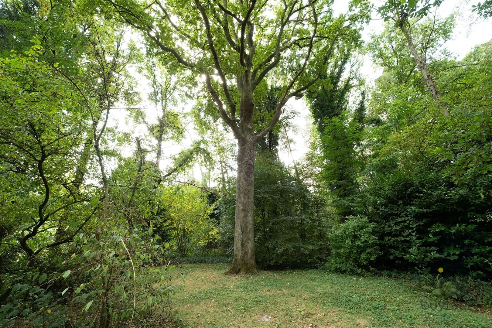 RUIMTE, LICHT ÉN KARAKTER: TE RENOVEREN 70’S VILLA MIDDEN IN HET GROEN! foto 68