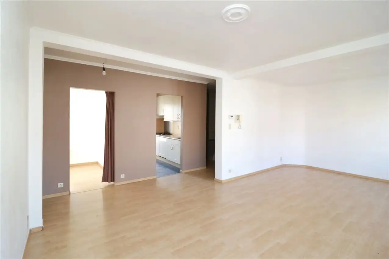 charmant, ruim, mogelijkheid beroep of kangoeroe foto 5