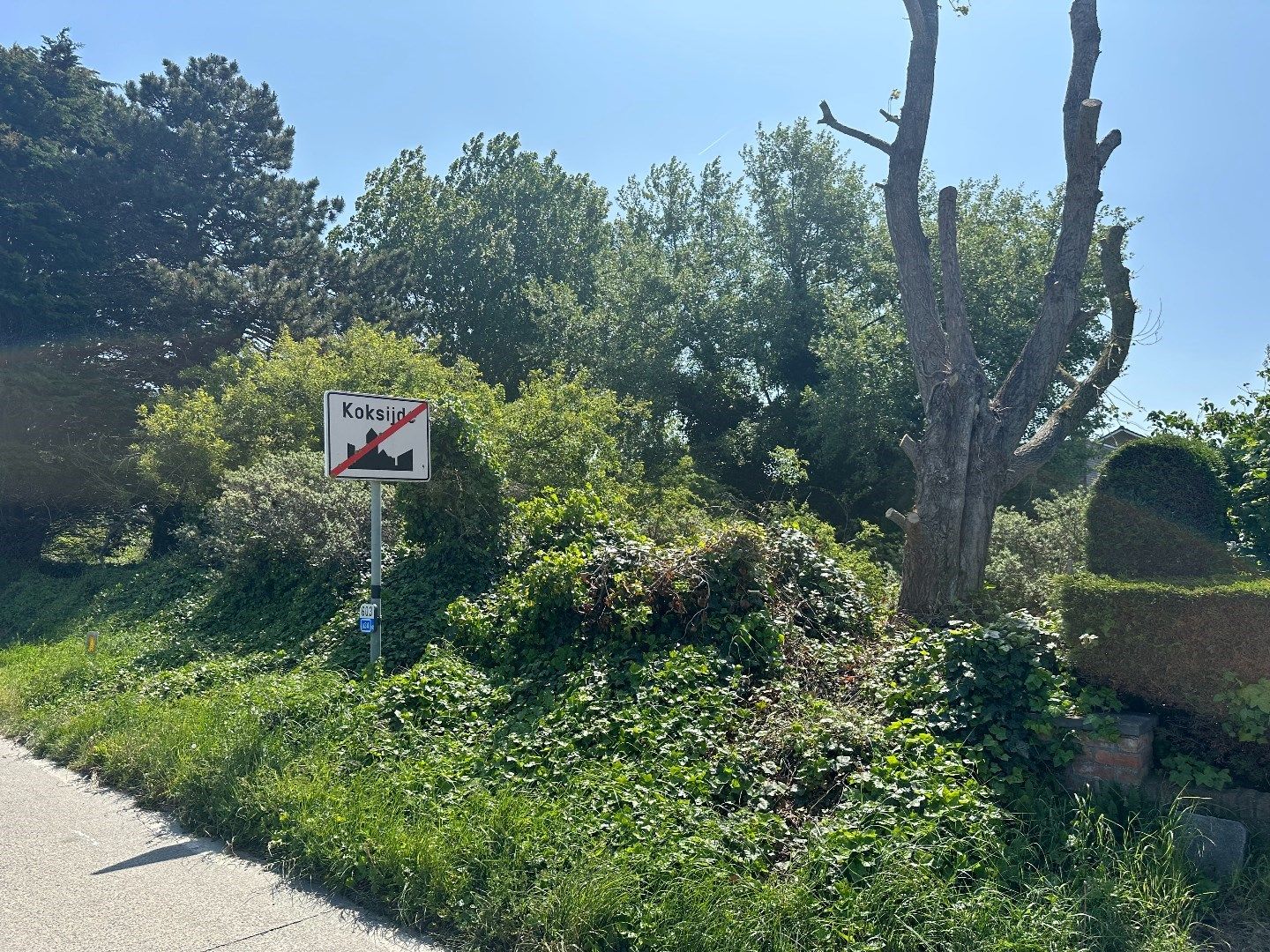 Perceel bouwgrond voor open bebouwing met oppervlakte van 454 m² foto 2