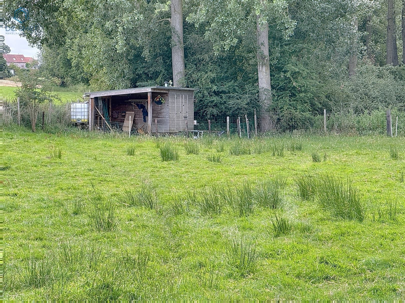 TE KOOP Rustig gelegen WEIDE van 31a30ca in Lierde  foto 4