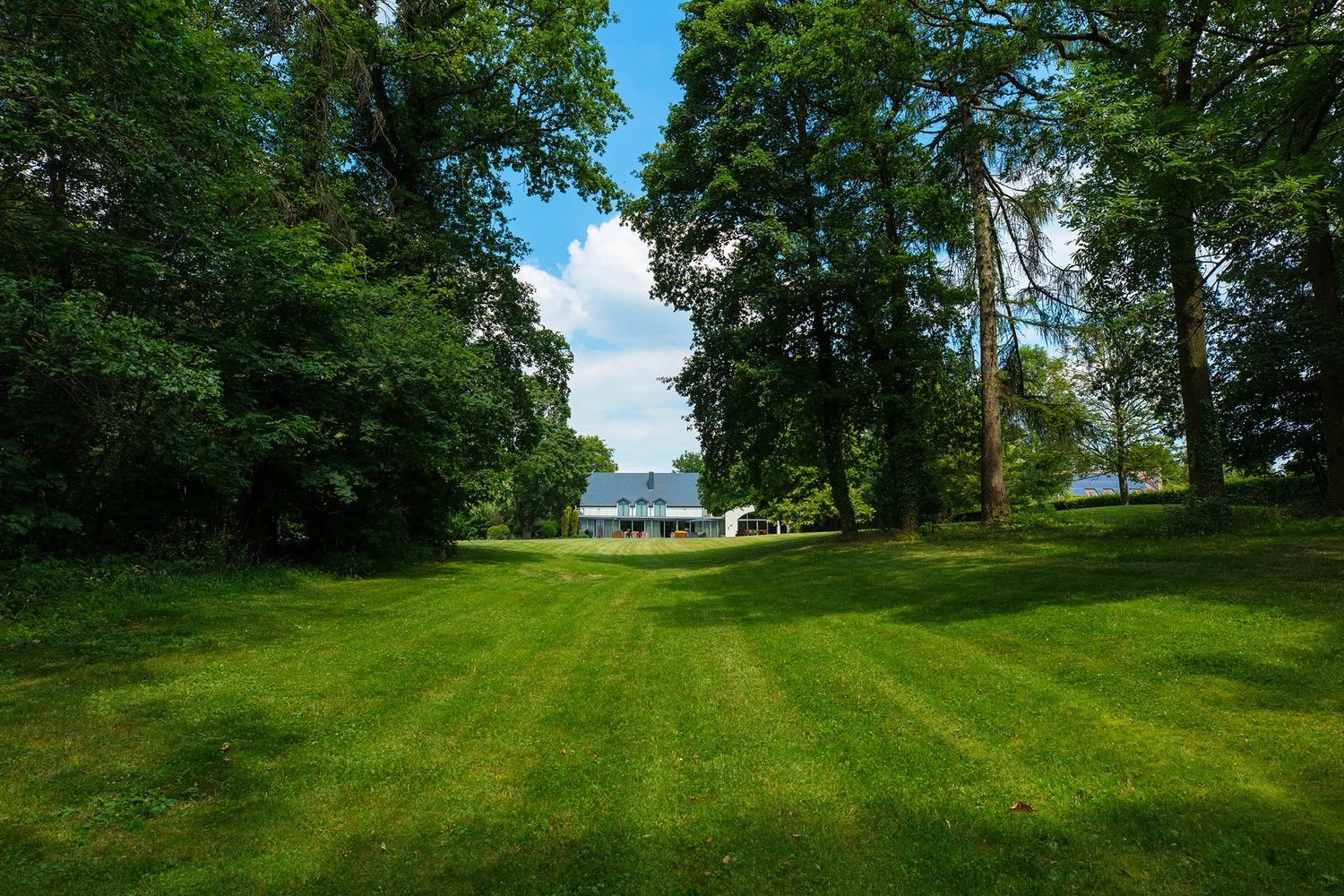 Eigentijdse villa met binnenzwembad en wellness, prachtig gesitueerd op een perceel van bijna 7ha te Warsage foto 6