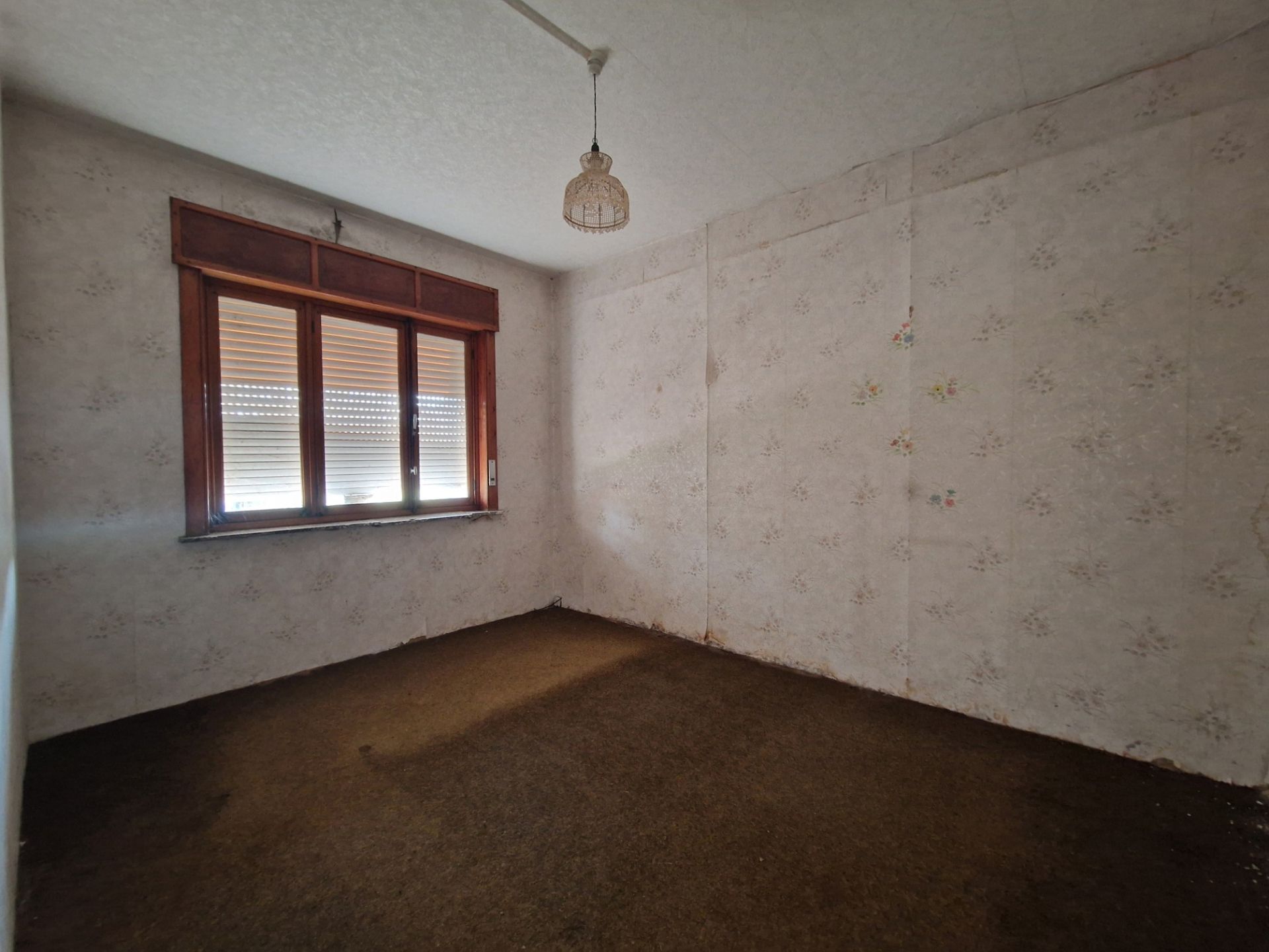 Ruime woning met veel potentieel te Werchter foto 4