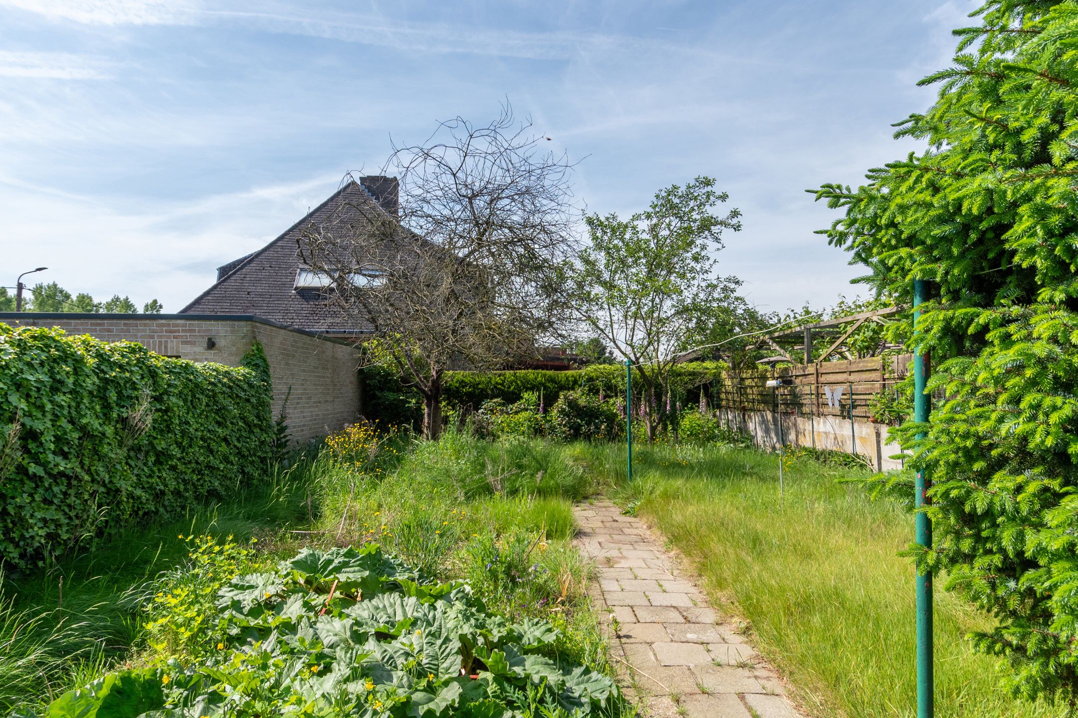 Unieke renovatiekans! Woning met talloze mogelijkheden! foto 2