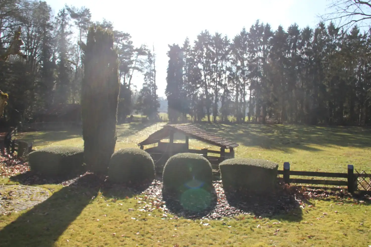 Uniek gelegen vrijstaande gezinswoning met 3 slaapkamers midden in de natuur op een perceel van 54 are in As centrum! foto 50