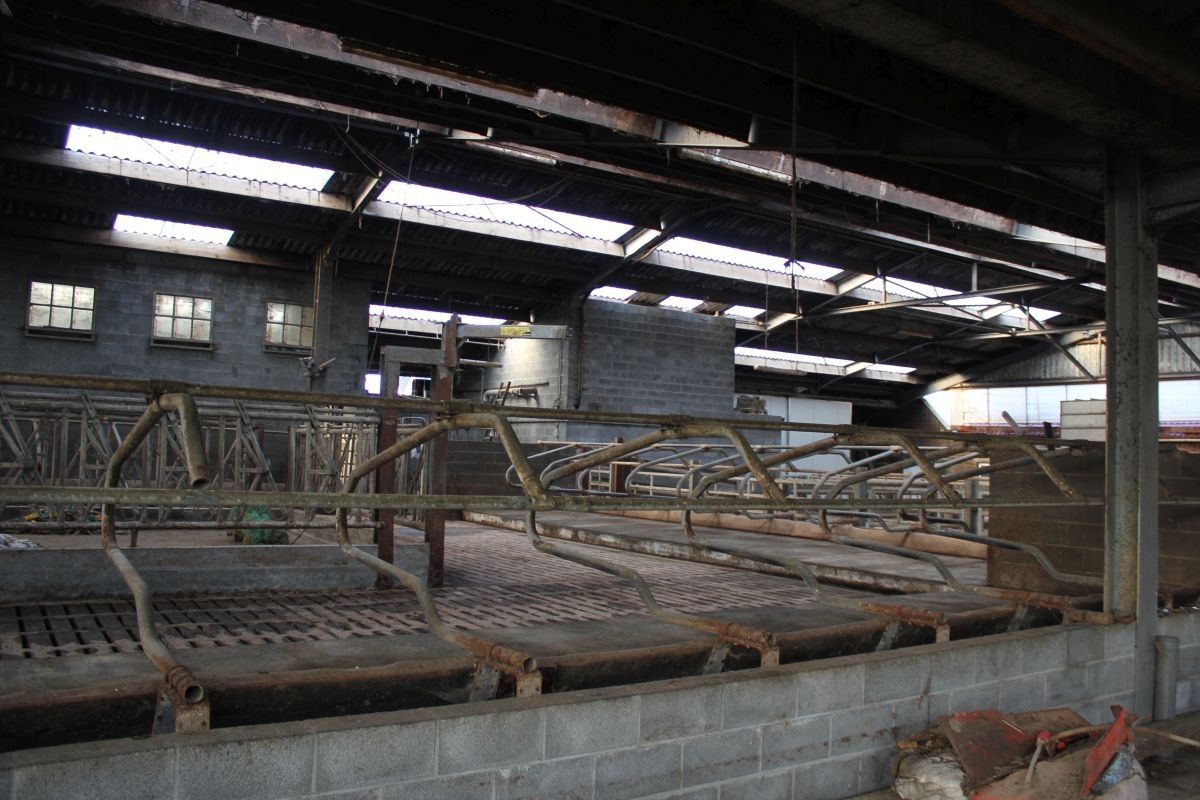 Hoeve met ruime stallen te koop te Zottegem op 4,68 ha foto 10