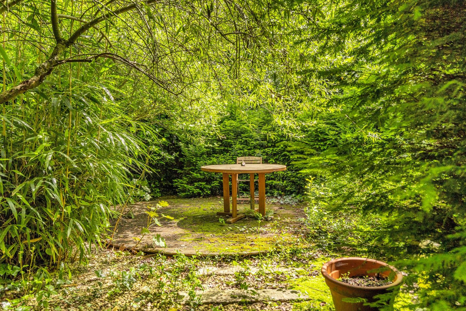 Karaktervolle woning met groene tuin (13,82 are!) foto 48