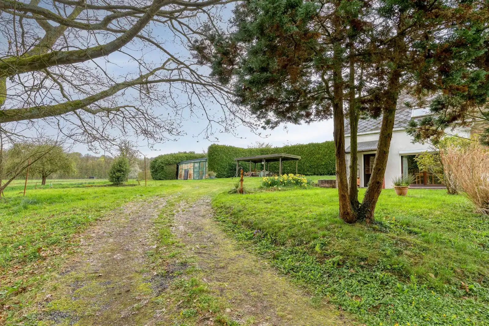 Unieke 3-gevelwoning met uitbreidingspotentieel naast het Hallerbos  foto 18