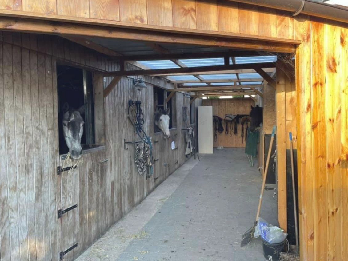 gezellige woning met WEIDE, paardenstallen en PRAKTIJKRUIMTE foto 7