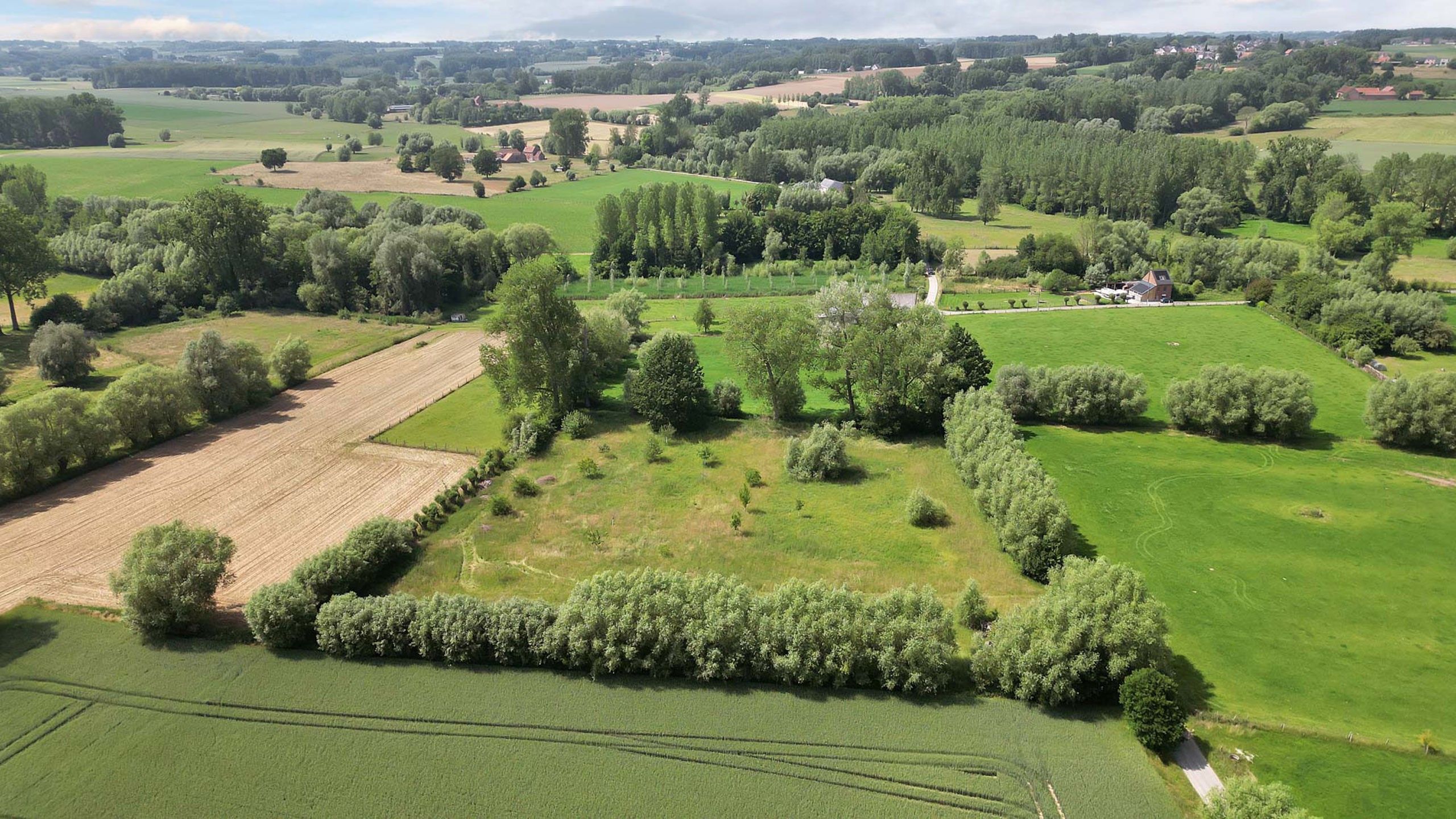 Weideland op een goede locatie foto 3