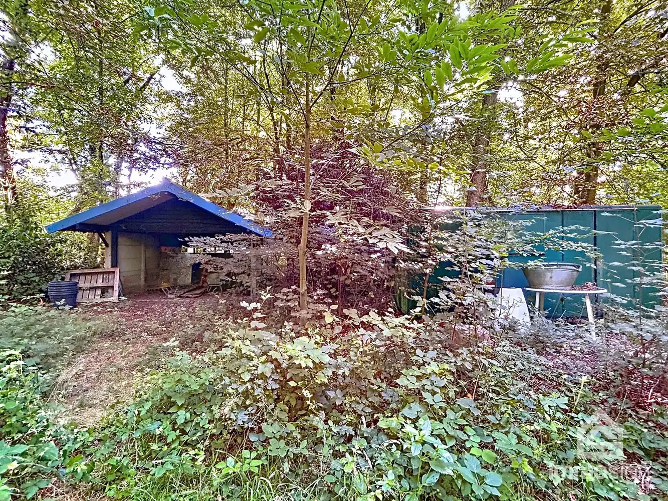 Uniek stuk grond van 9.050 m² in Grote-Brogel/Peer! foto 8