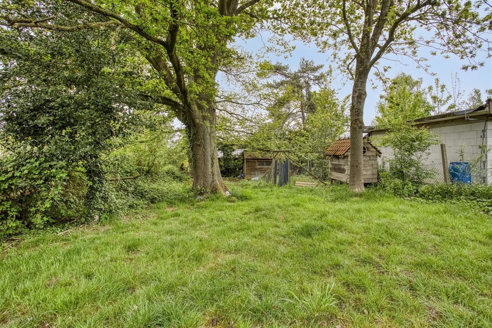 Woning met grote tuin te Dworp foto 19