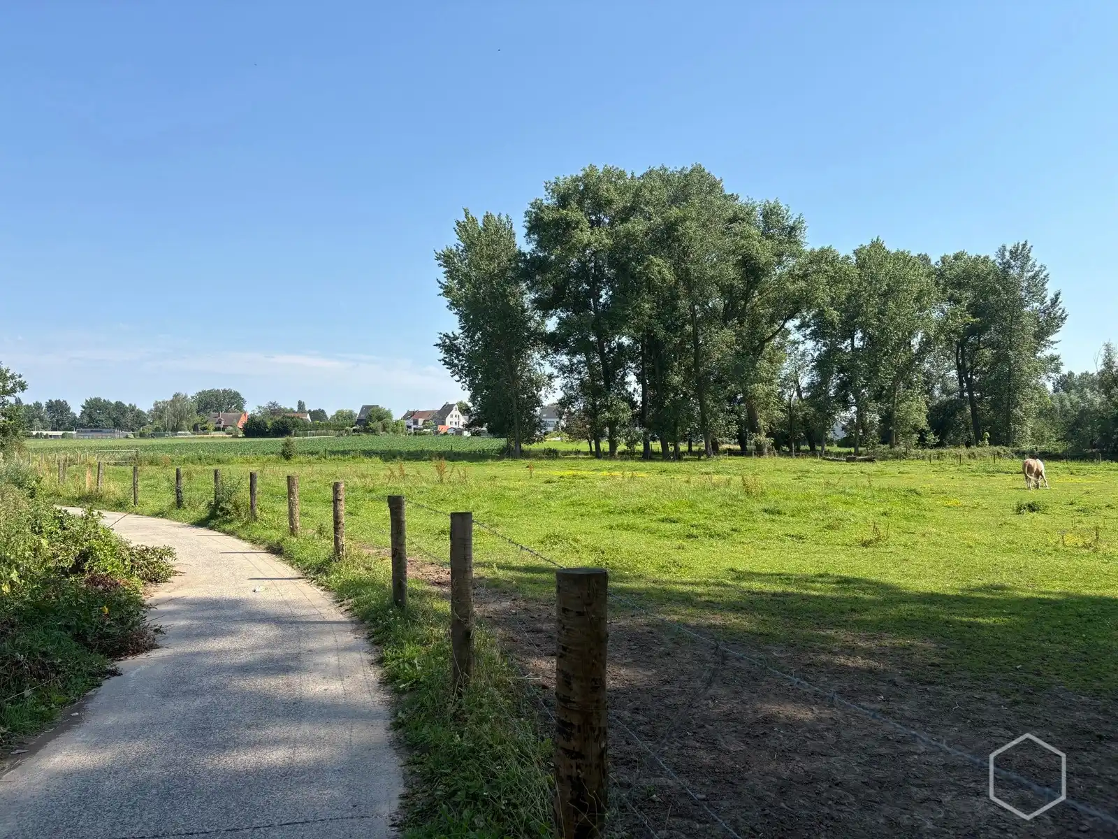 Weide van 1,28 hectare foto 3
