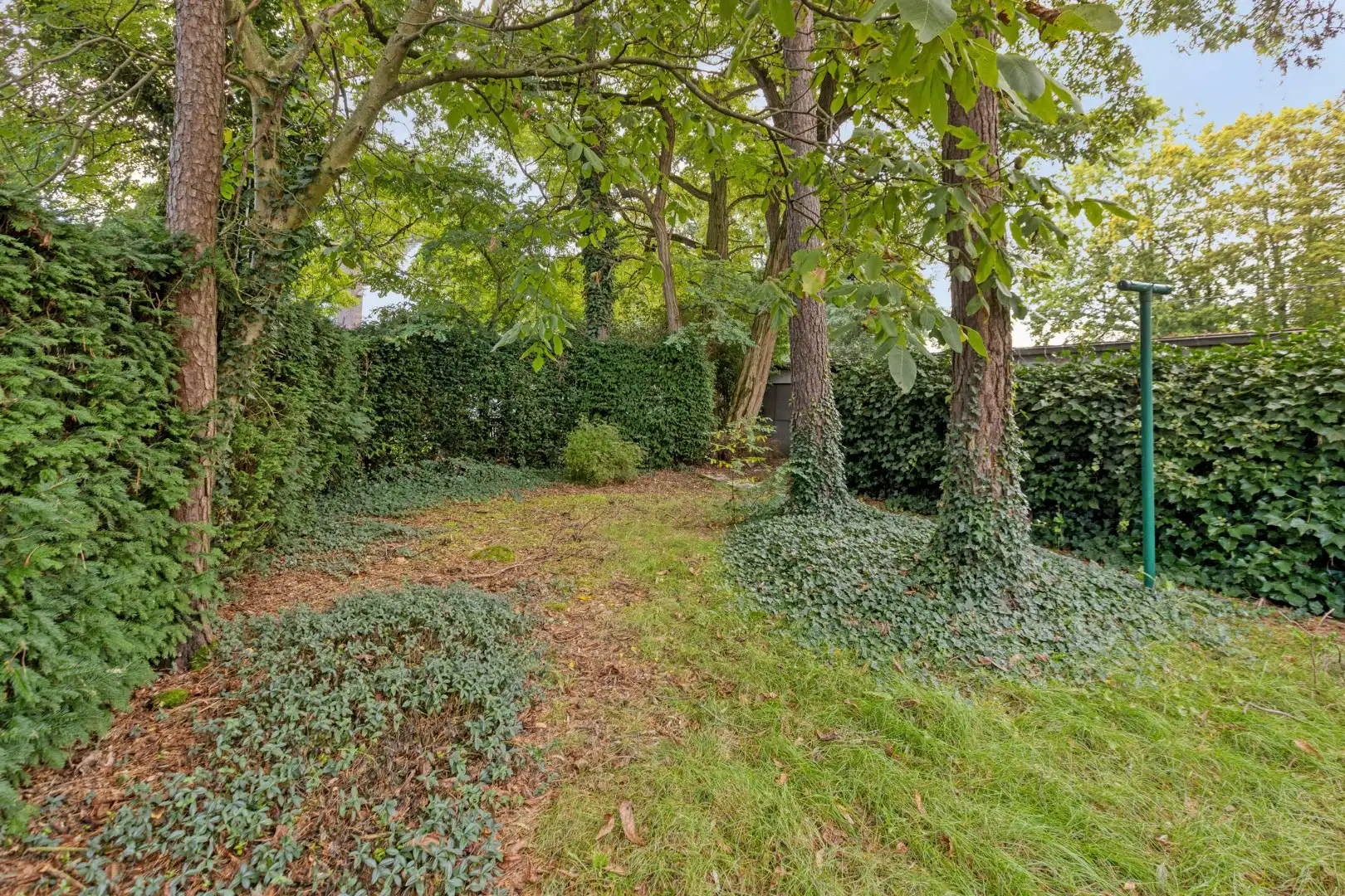 Te renoveren woning met 3 SLPKS in Mol - Donk ! foto 25