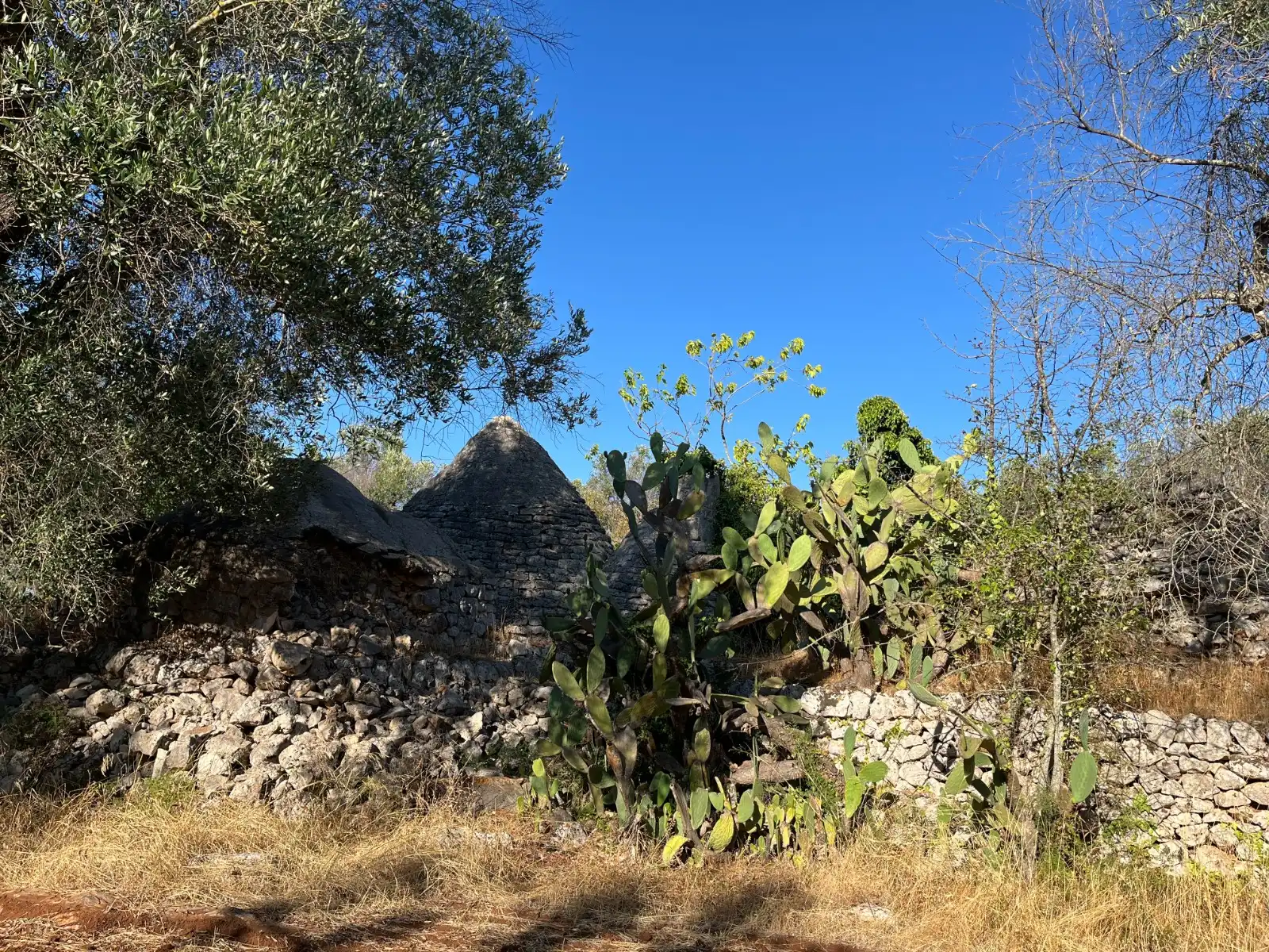 Twee fascinerende trulligroepen te koop in Puglia, Italia: An Italian Home away from Home foto 17