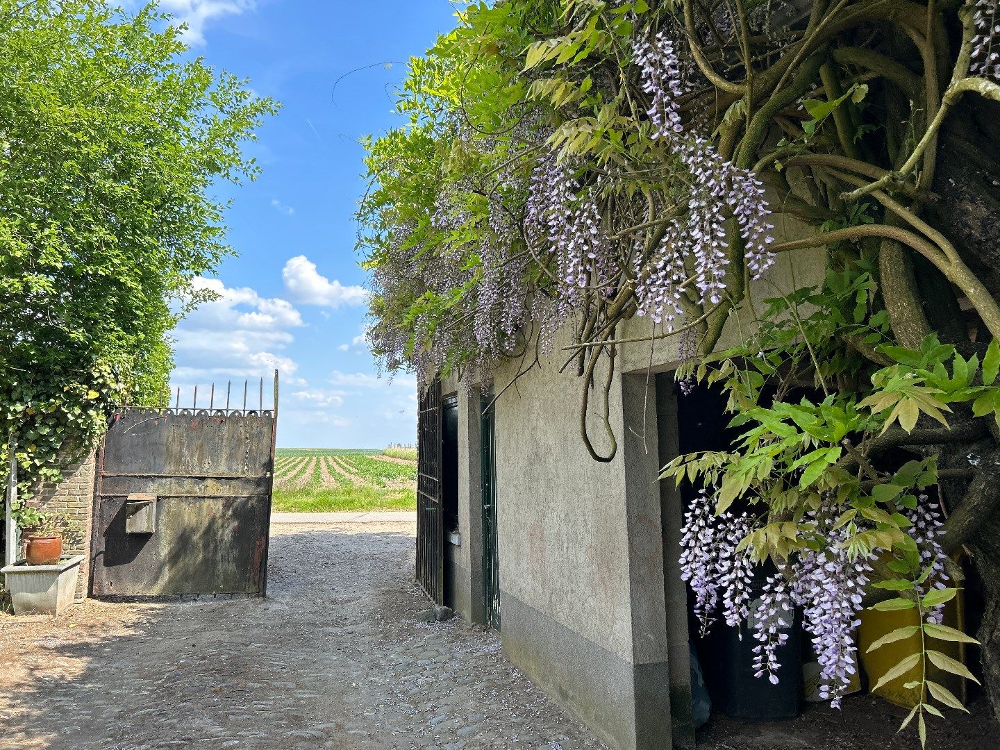 Hof Candriesche – Droomhoeve vol karakter in hartje natuur foto 4