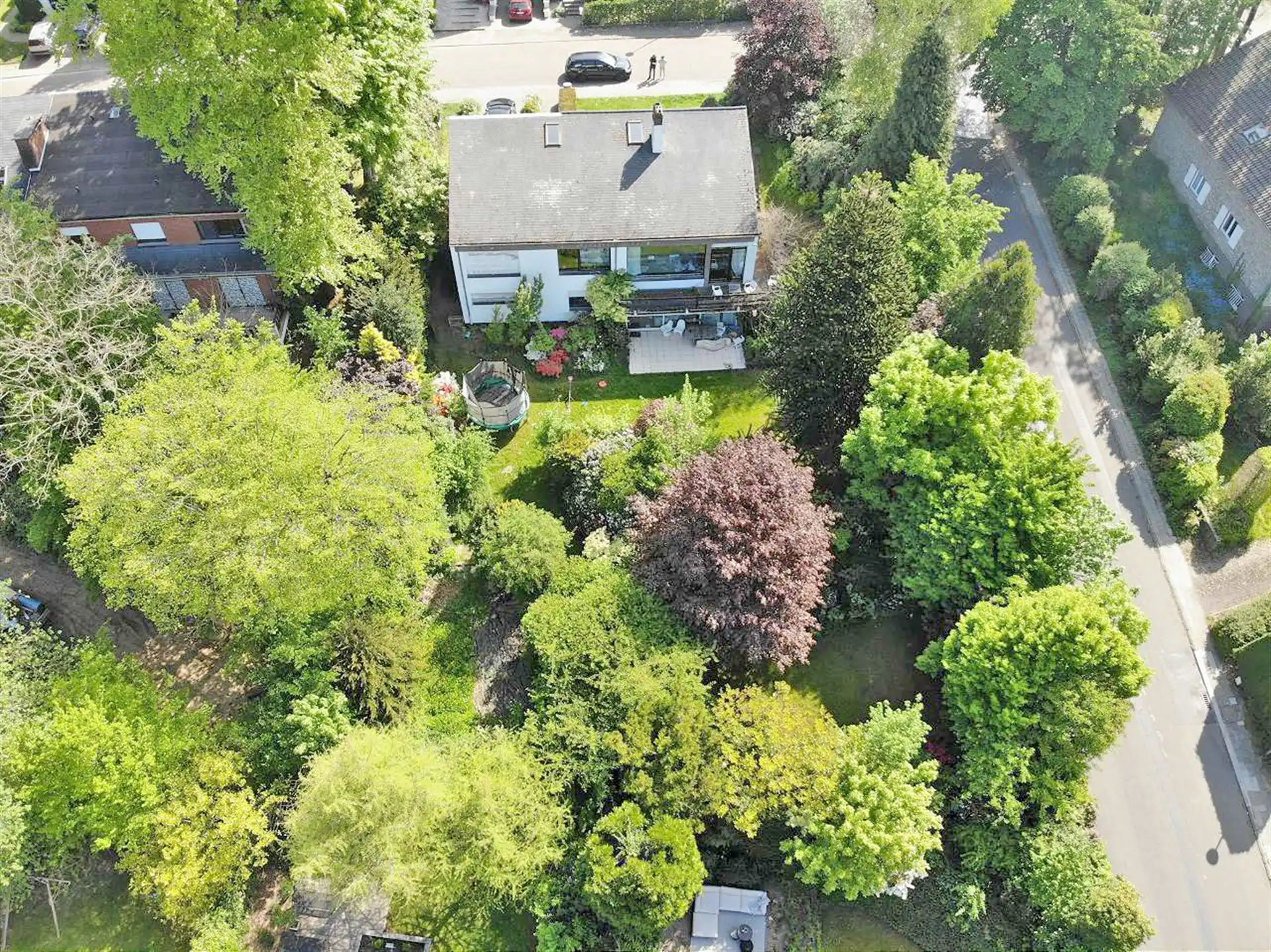 Zonovergoten te renoveren villa nabij Zoniënwoud foto 3