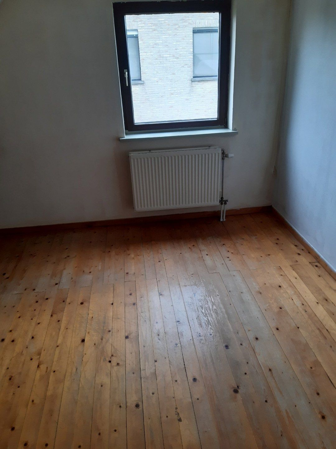 Rustig wonen in t groen. foto 17