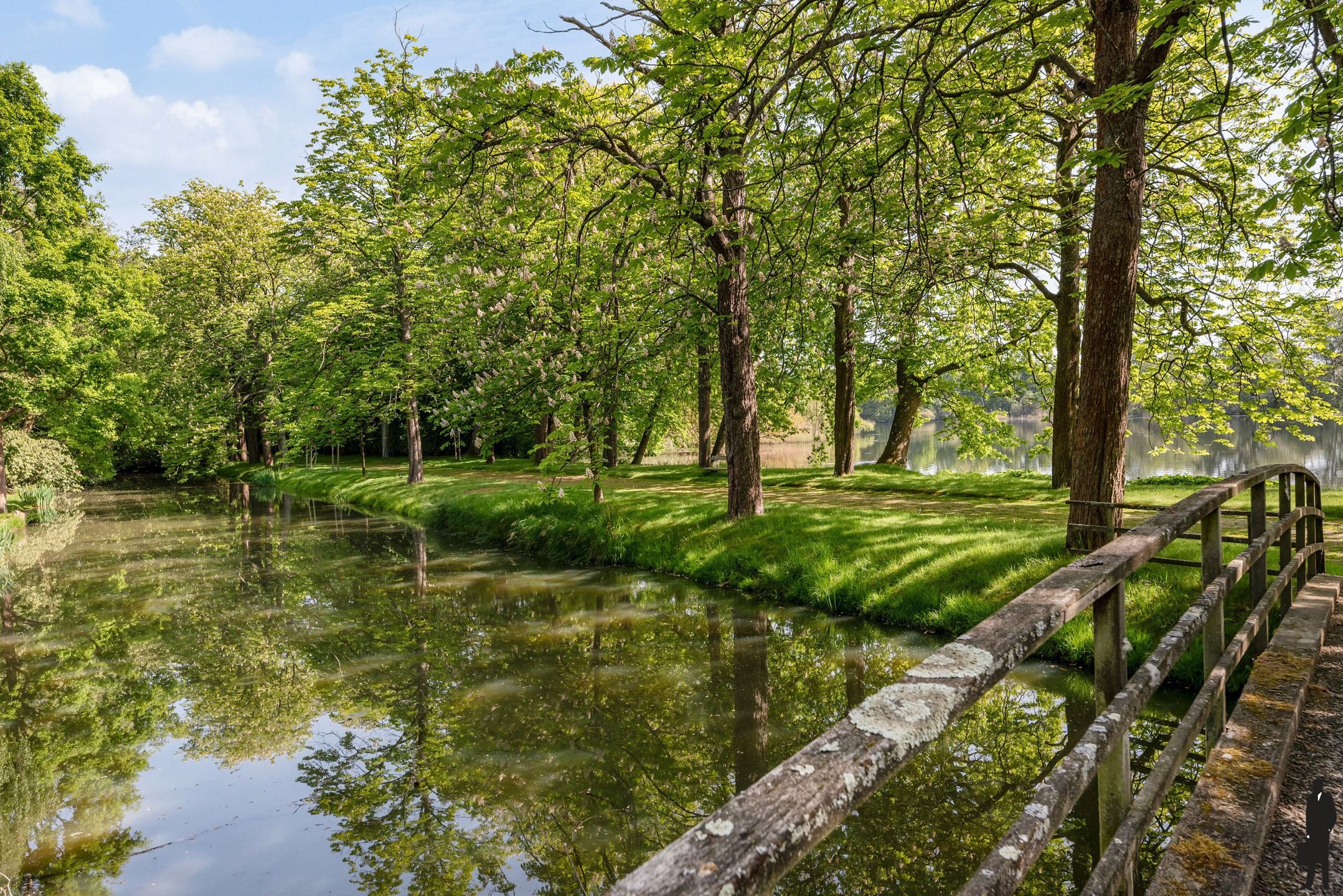 Uniek domein "Hof Van Lachenen" met 2 villa's te koop in Lier.  foto 12