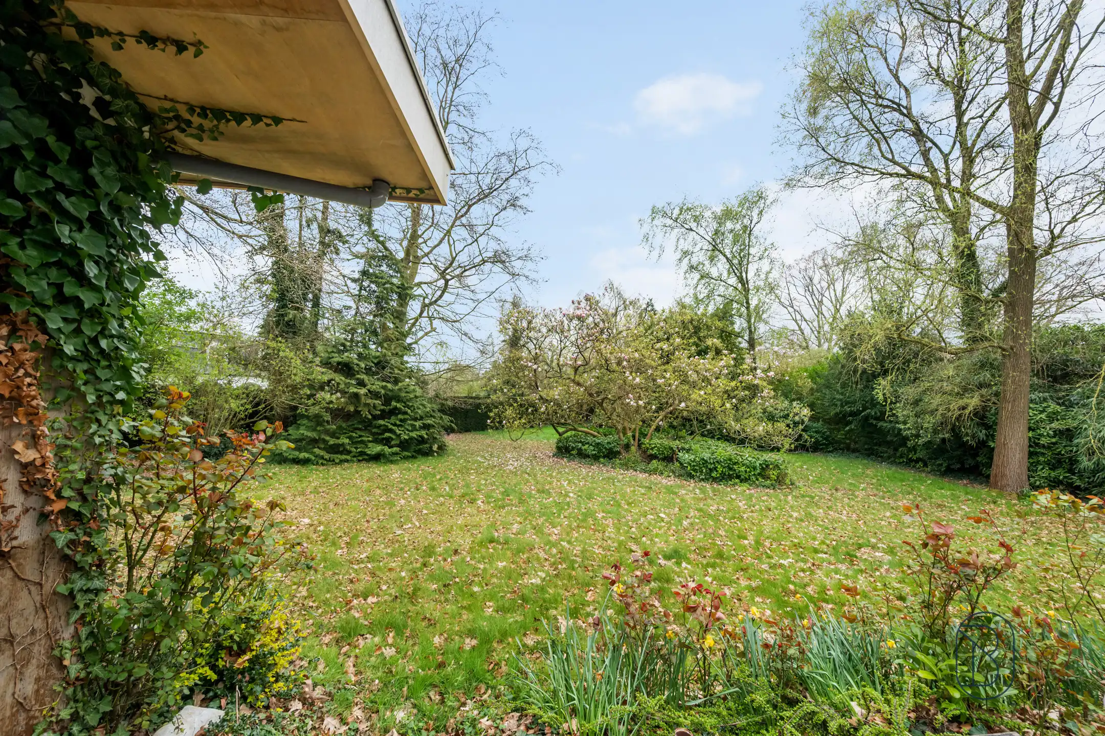 Topgelegen in de Rodenburg: te renoveren/af te breken villa foto 5