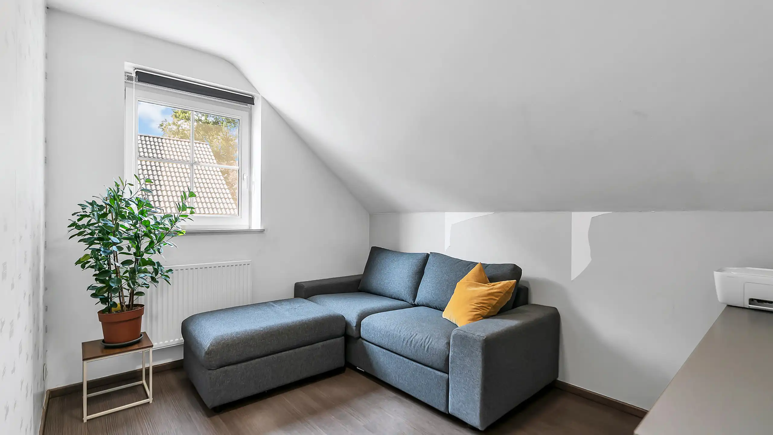 Huis te koop foto 11