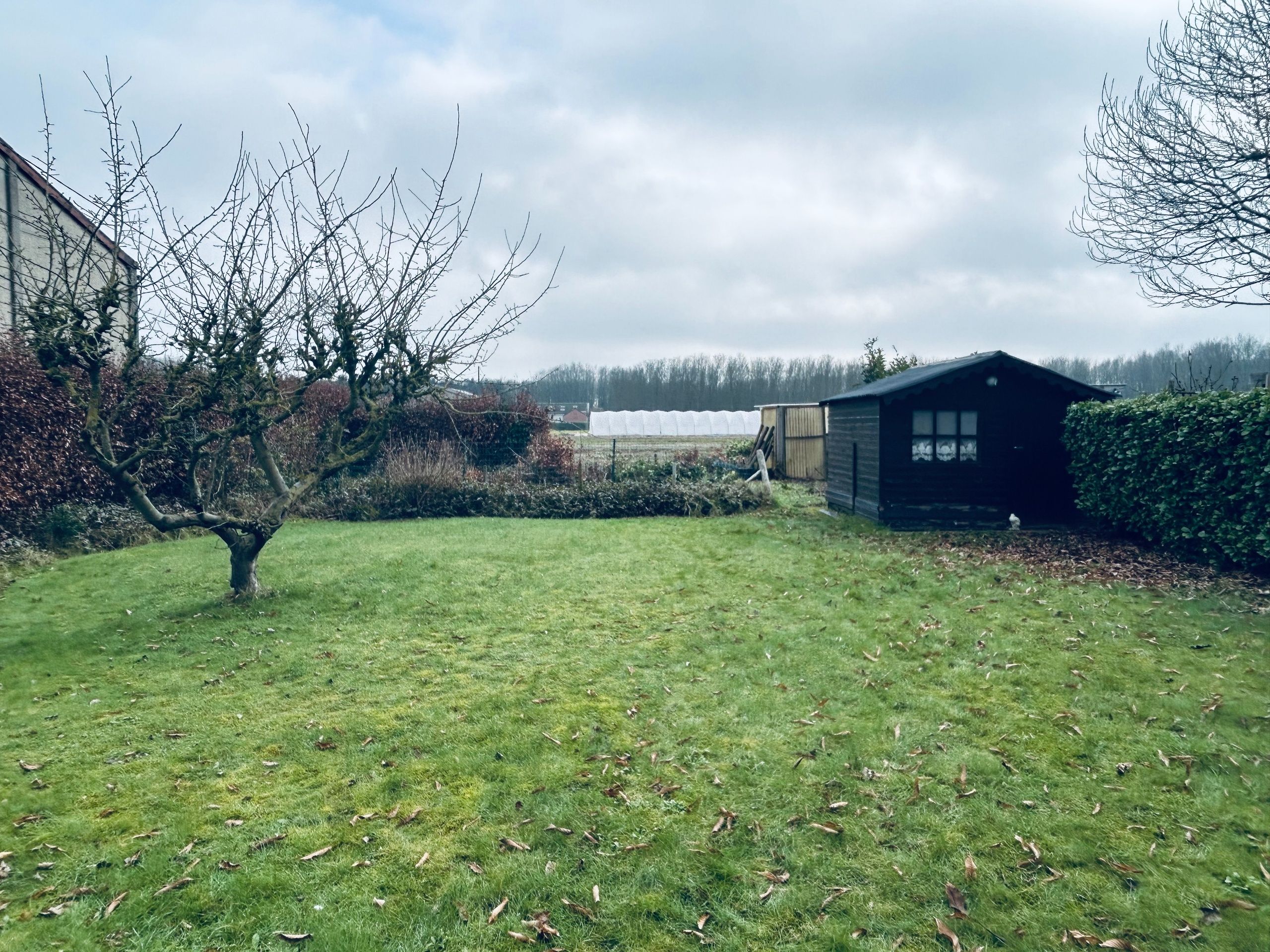 Gelijkvloerse woning met 2 slaapkamers, garage en tuin foto 9