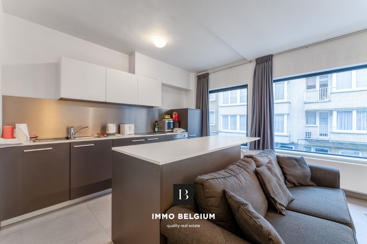 Gerenoveerd appartement met 2 kamers en ruim terras in de Belle Epoquewijk foto 4