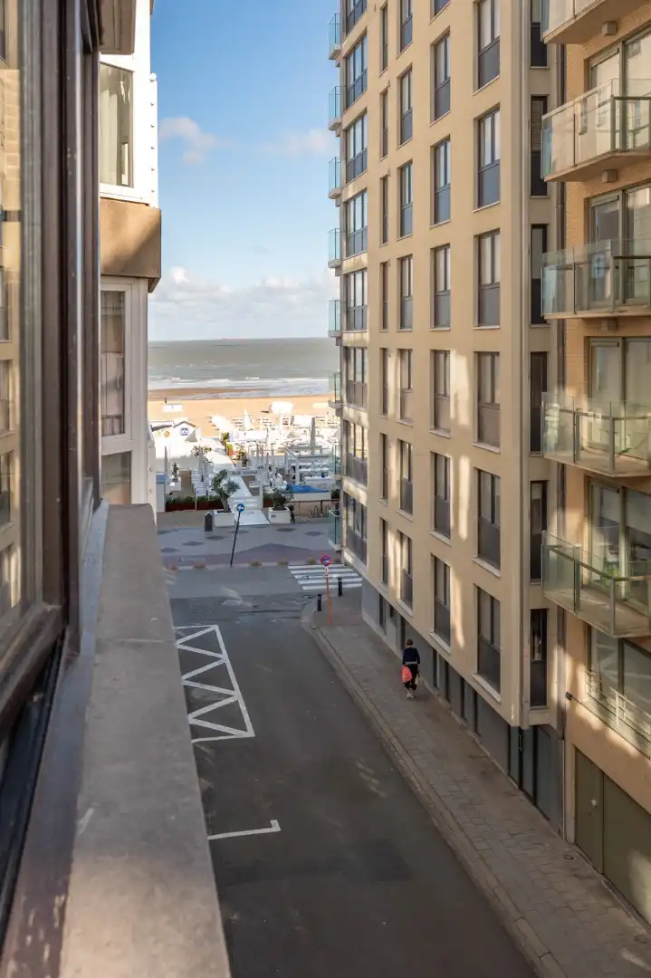 Lichtrijk appartement met zijdelings zeezicht en prachtig open zicht over Duinbergen foto 10
