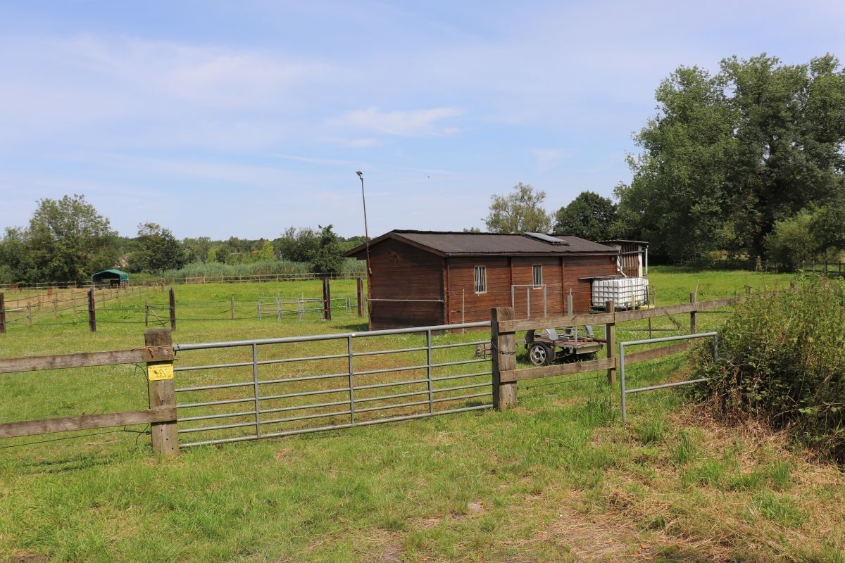 Omheinde weide met paardenstallen te koop te Rotselaar foto 3