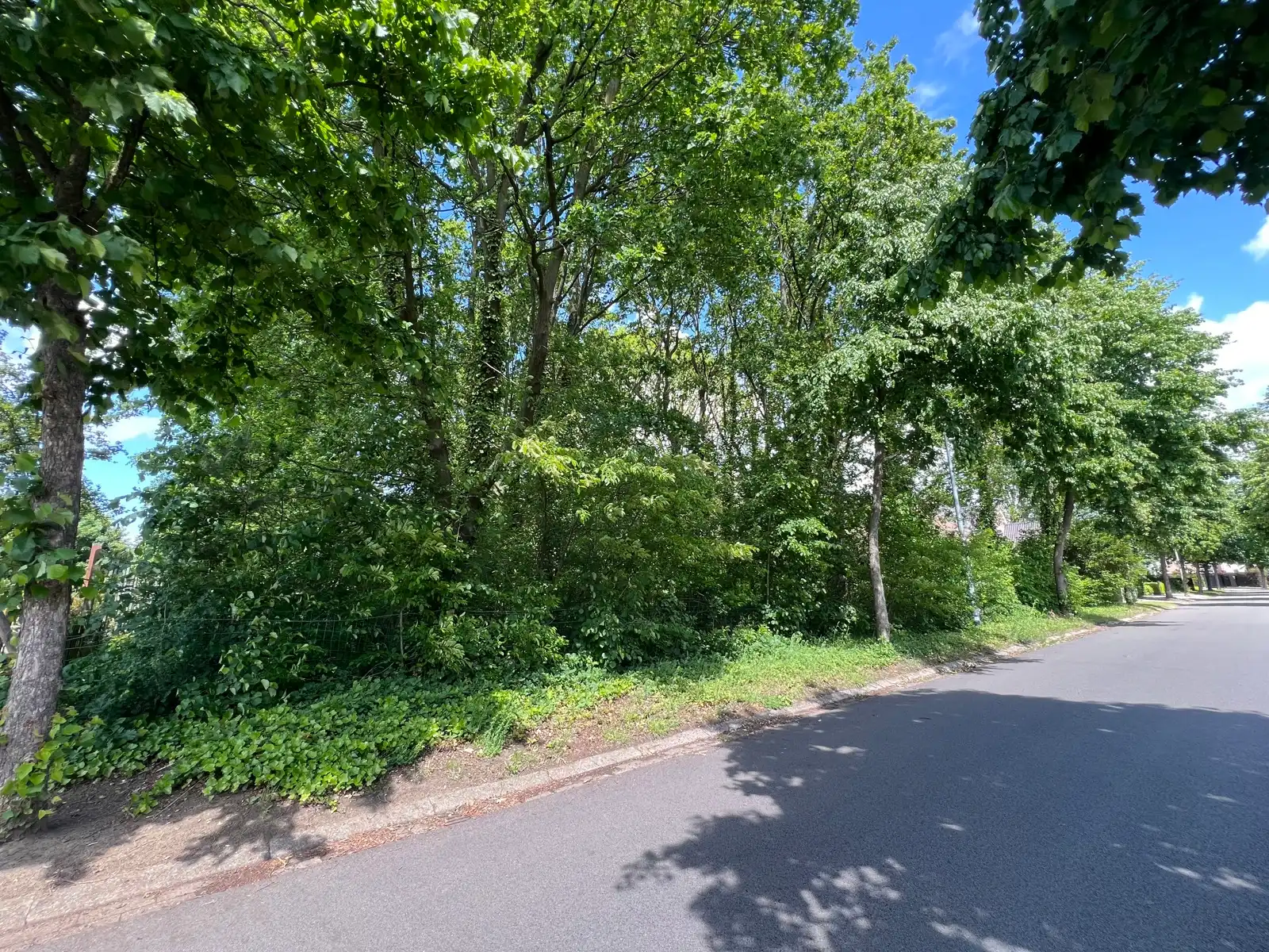 Bouwgrond voor OB gelegen in rustige woonwijk foto 2