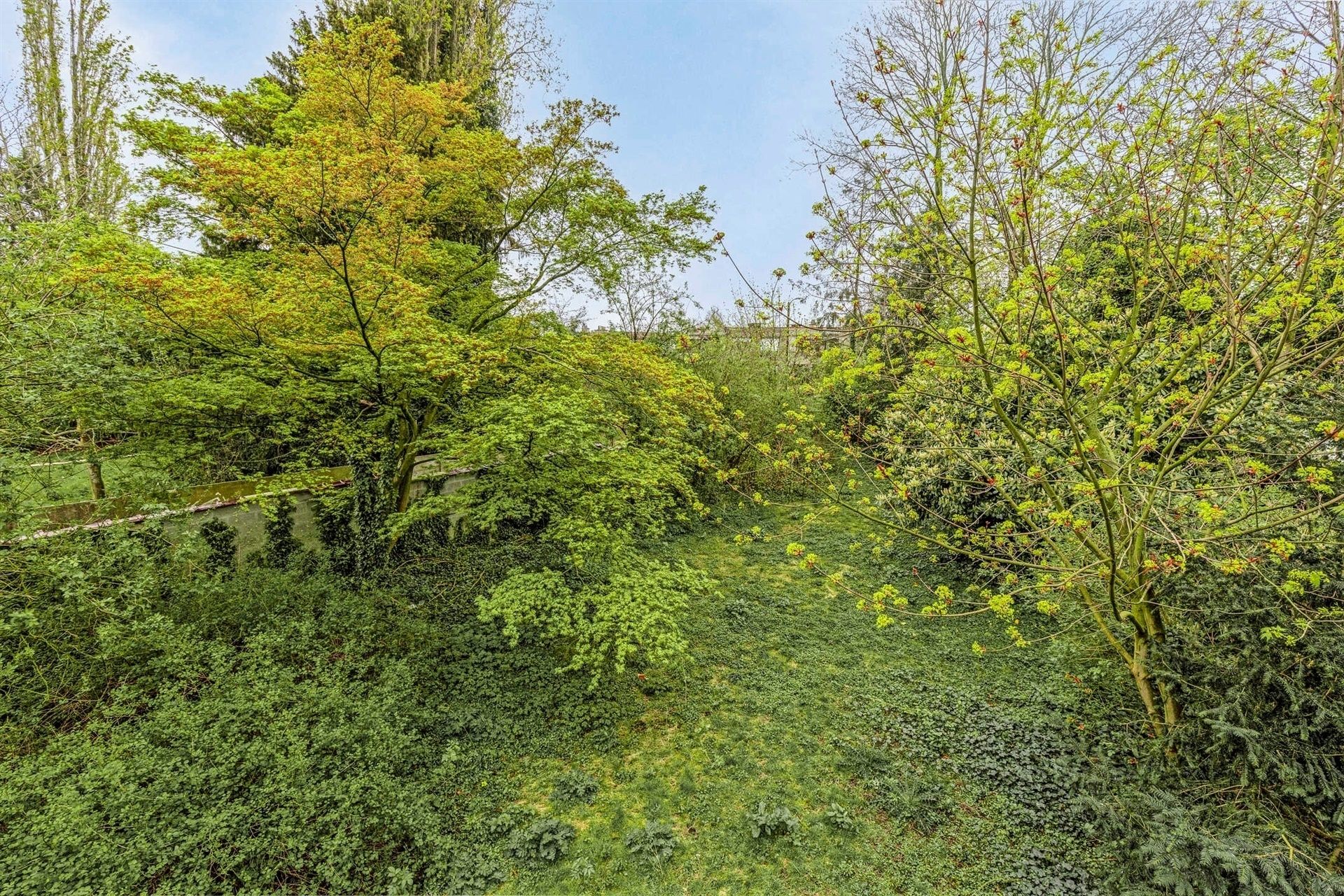 Prachtige burgerwoning in het centrum foto 29