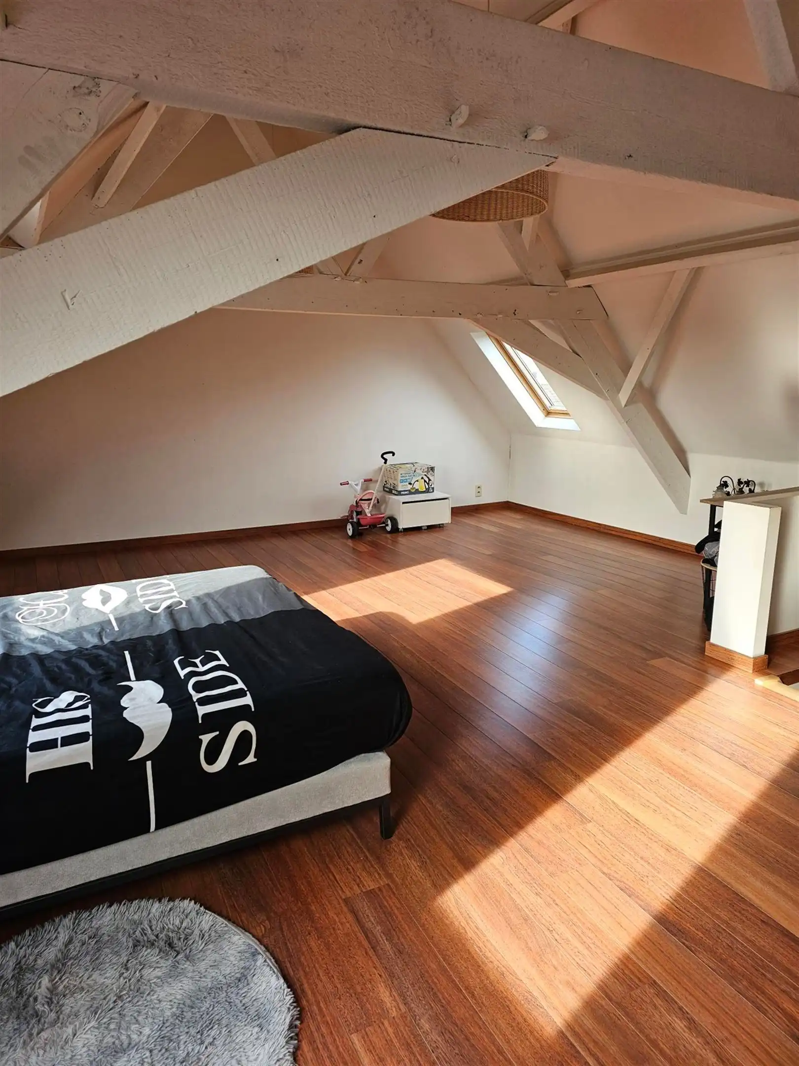 Charmante woning in het landelijke Nokere. foto 12