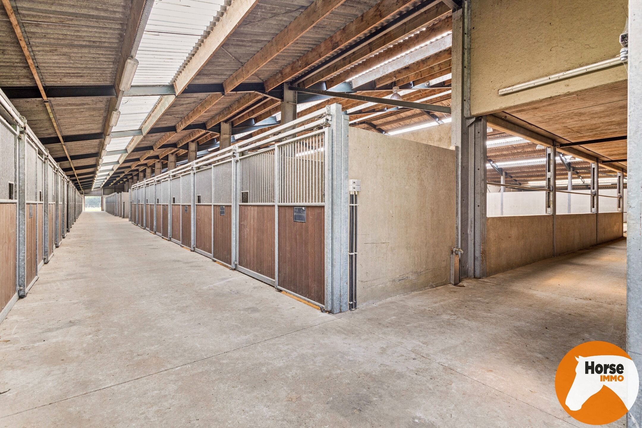 JABBEKE - Luxueuze paardenaccommodatie met woning foto 17