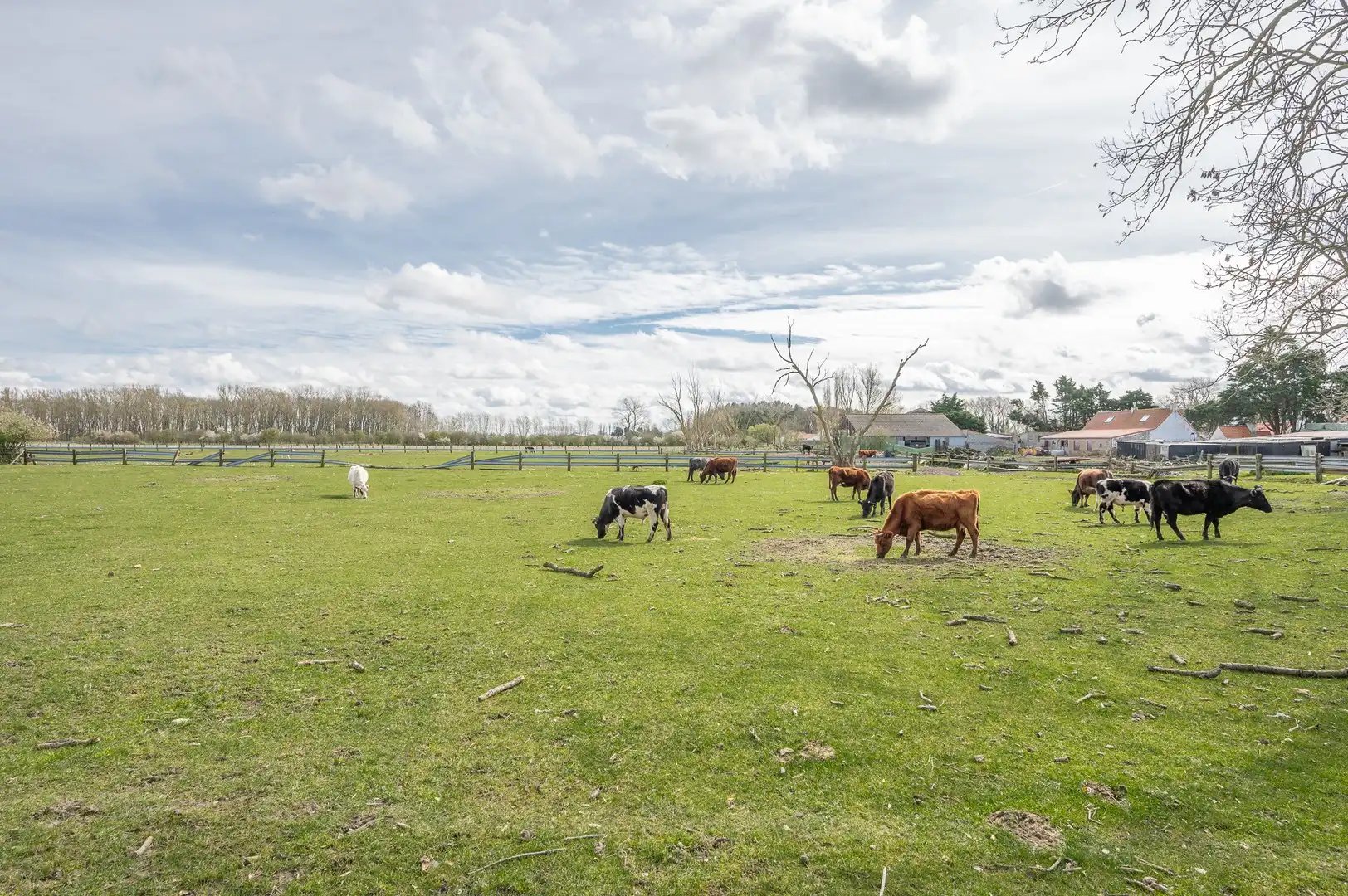 Uitzonderlijke eigendom met een uniek open zicht op de Hazegraspolders, vlakbij het Oosthoekplein. foto 2