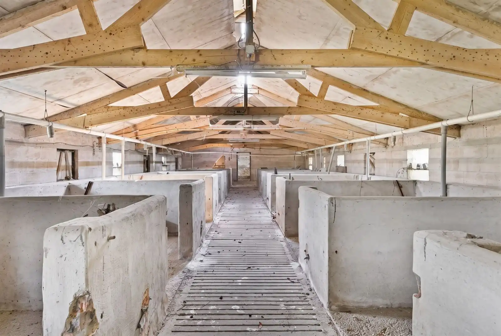 Hoeve met stallen te koop! foto 20