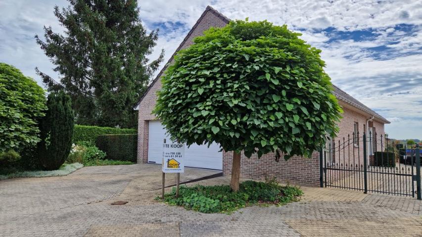 Perfect onderhouden VILLA, open bebouwing op 10 are 95 ca. foto 51