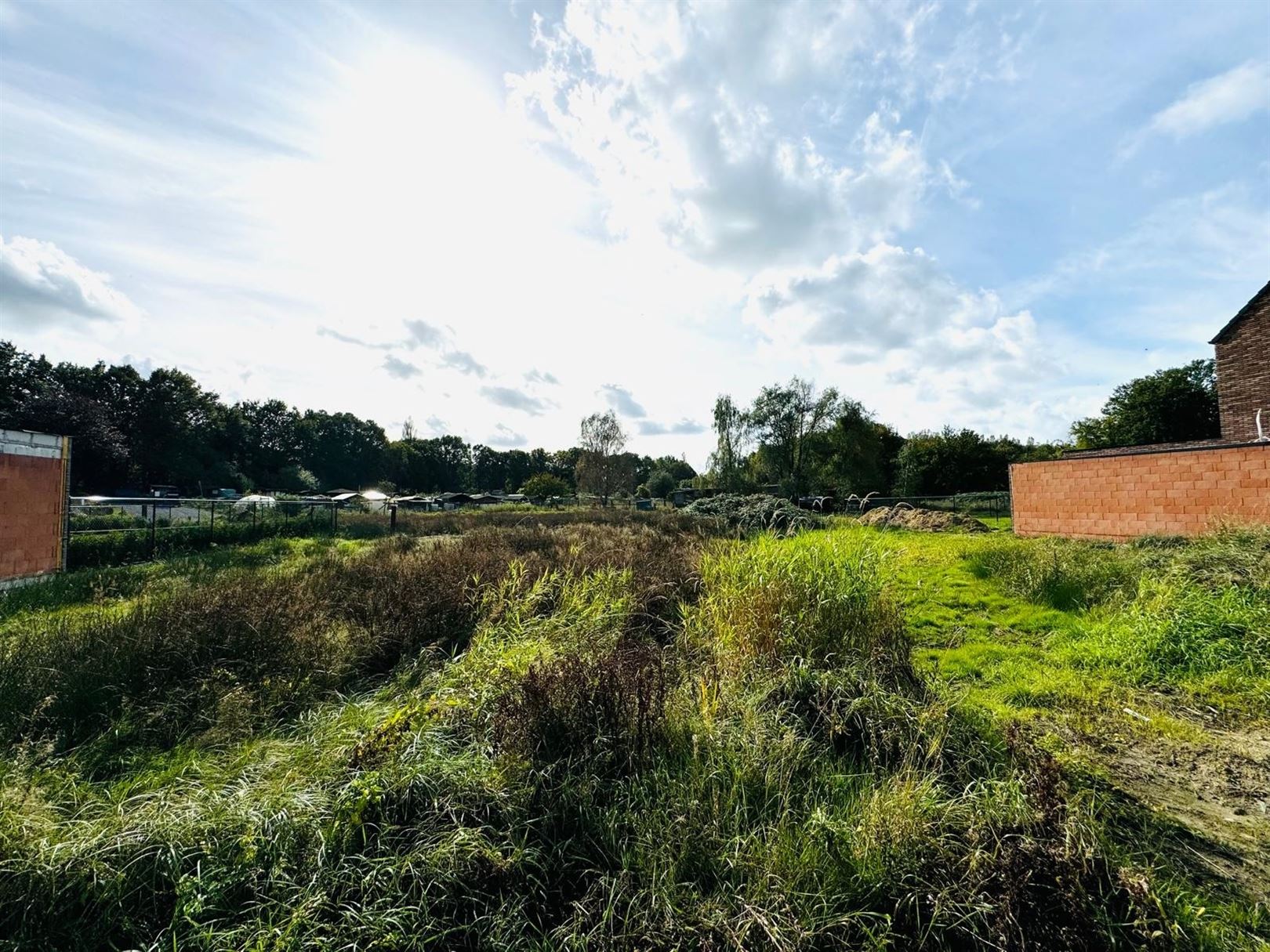 Nieuwbouw BEN woning aan natuurgebied FORT VAN MERKSEM  foto 6