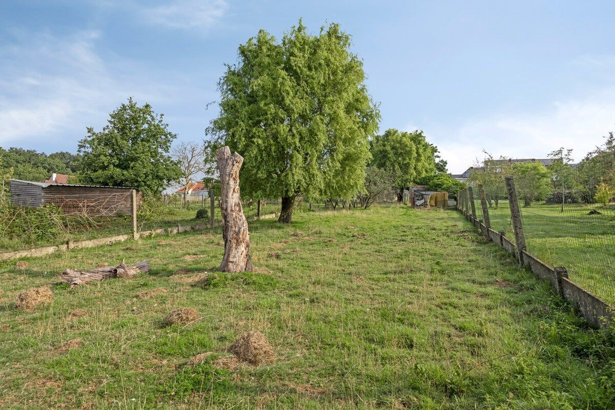 Goedgelegen woning met grote weide foto 19