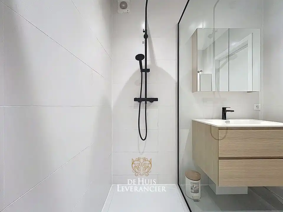 centraal gelegen, gerenoveerd appartement met panoramische zicht op 2 terrassen foto 26