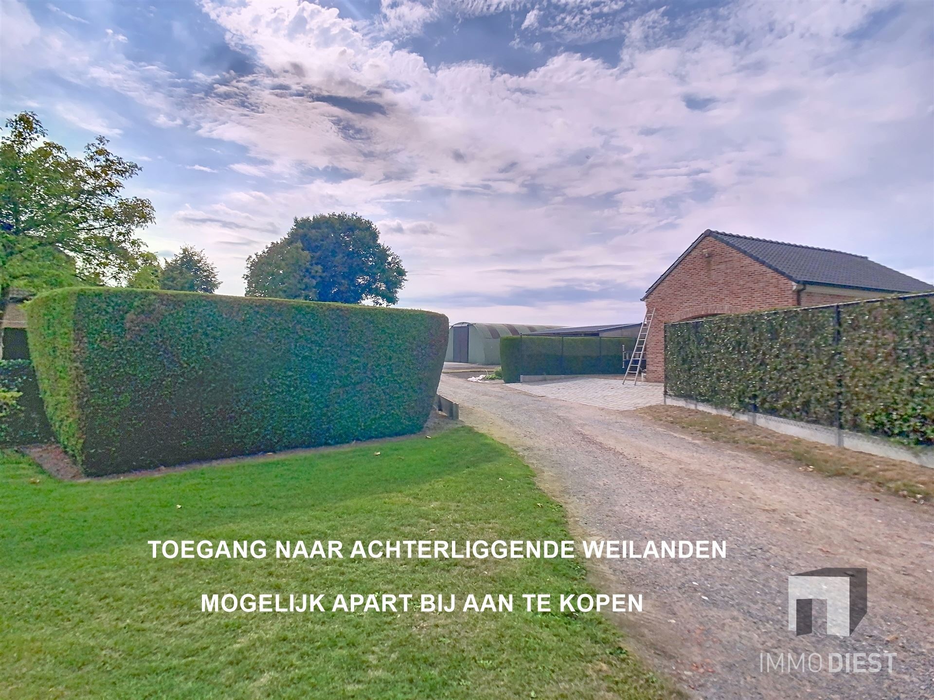 Charmante hoeve met schuren en een knappe tuin te Geel. foto 41