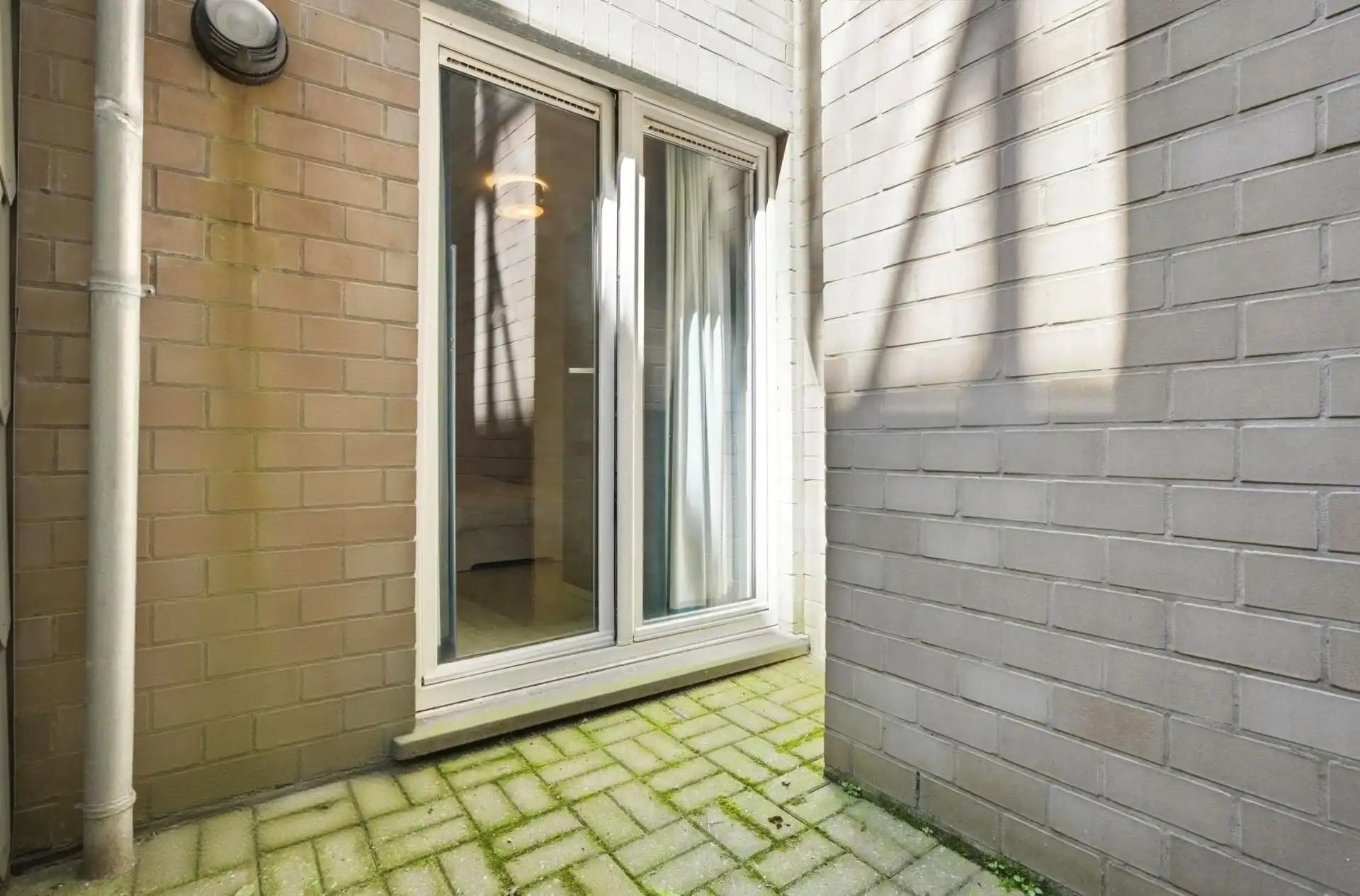 TOPLOCATIE / KOER  foto 15