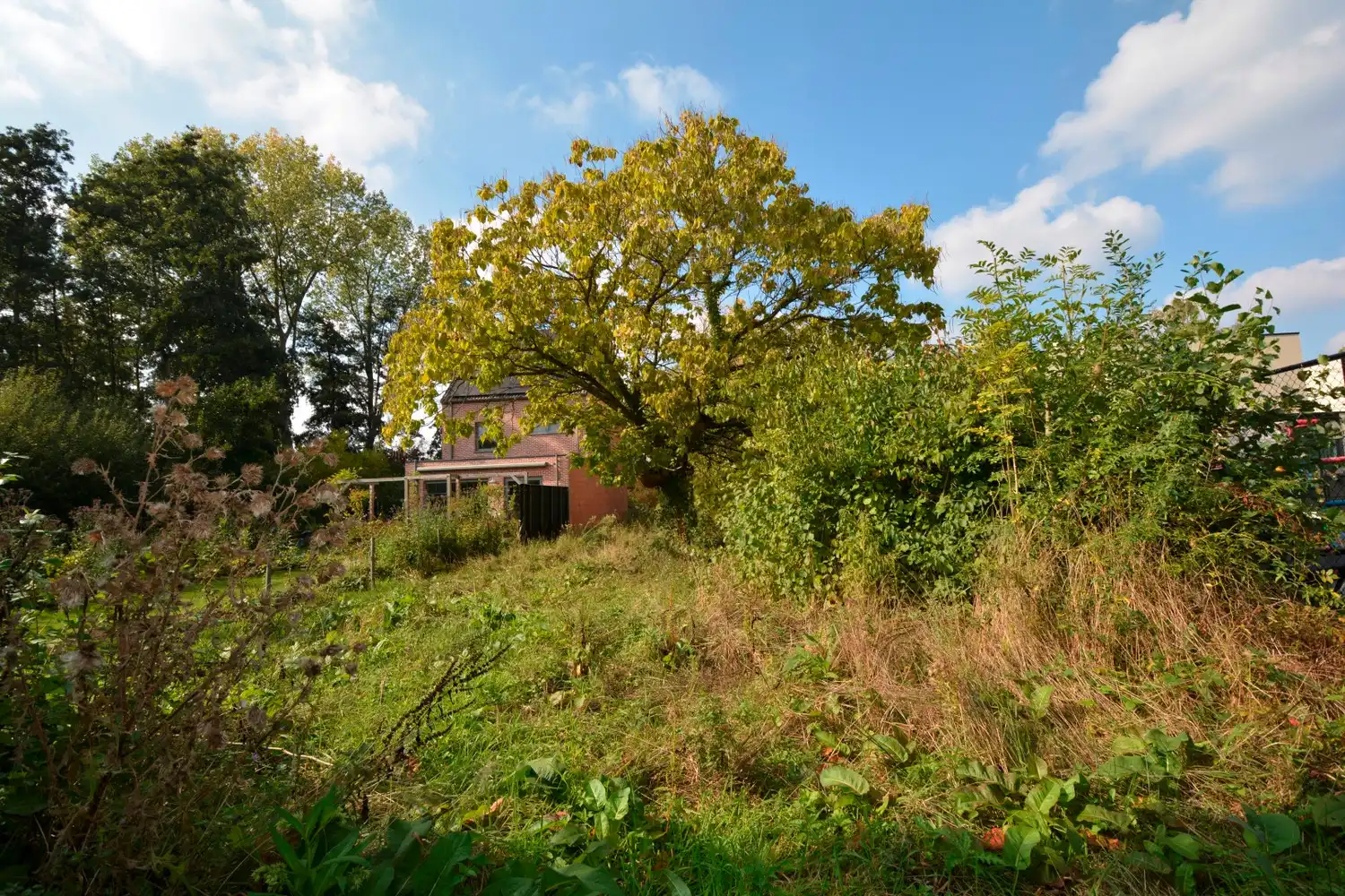 BOUWGROND (688 m²) VOOR H.O.B. OP TOPLOCATIE TE OELEGEM! foto 6