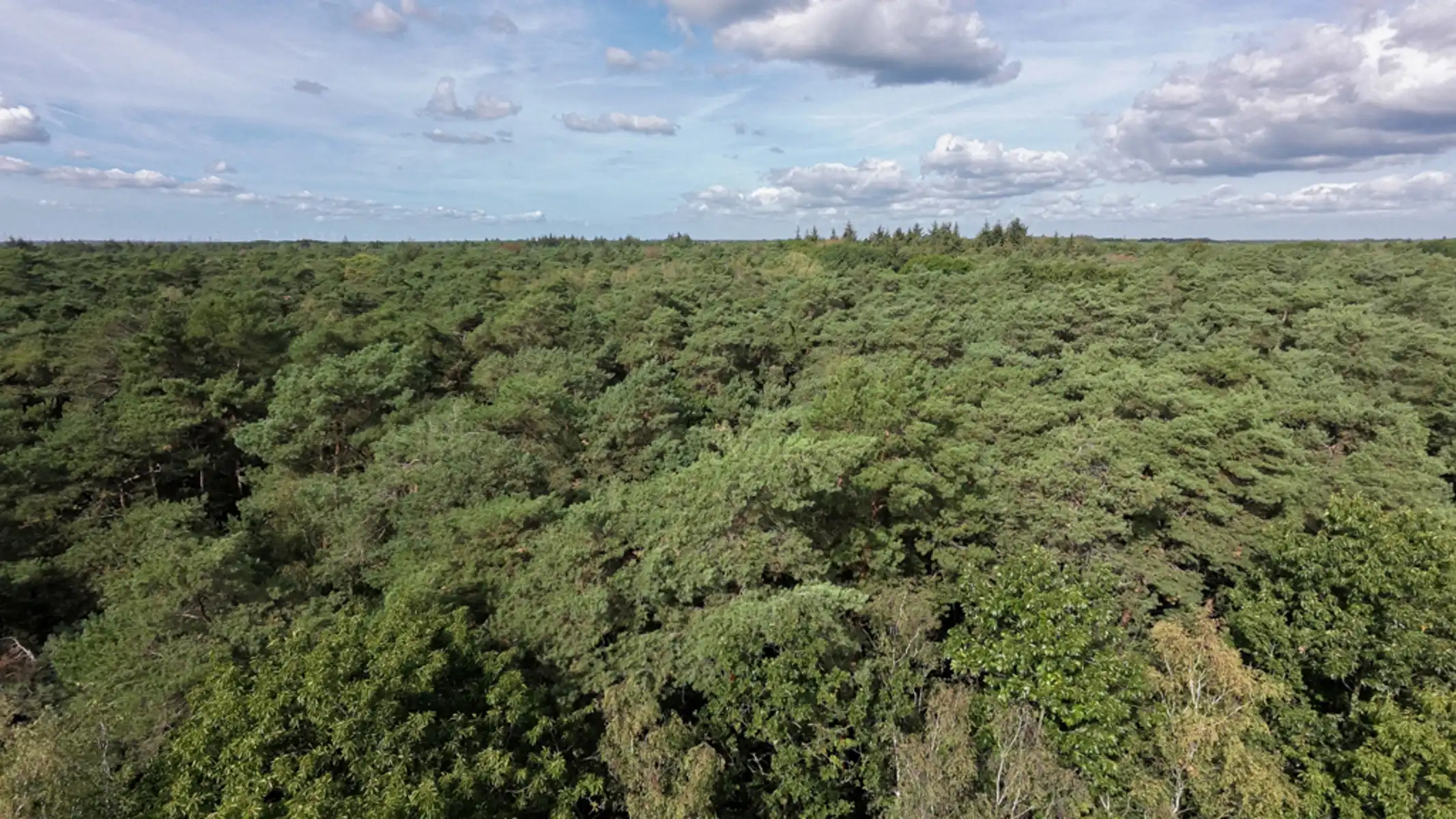 ARCHITECTENWONING AAN HET ERTBRANDBOS IN KAPELLEN foto 41